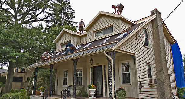 Roof Gutter Cleaning